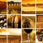 Fotolia_2399299_Subscription_L-452×340