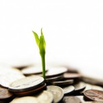money-grow-900×598