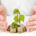 small_business_investment